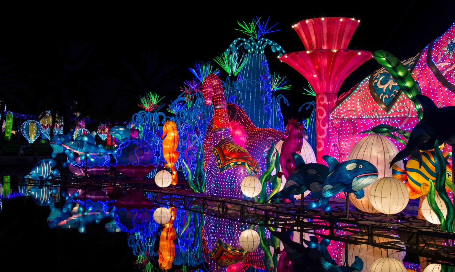 Dubai Garden Glow