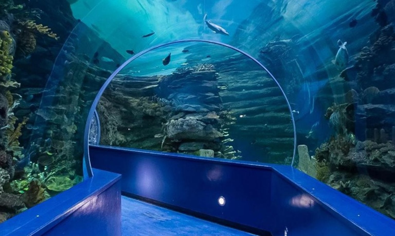 Sharjah Aquarium