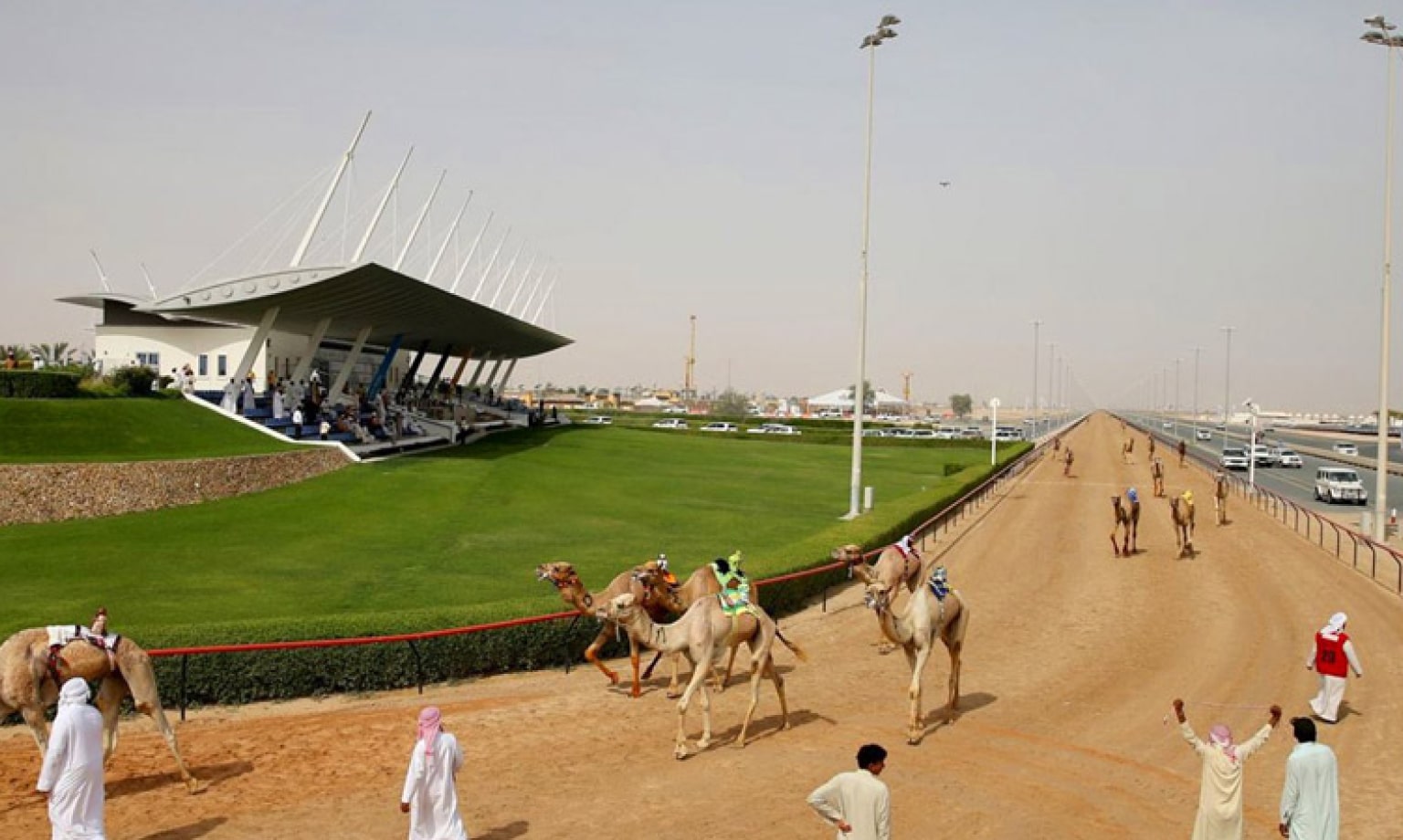 Camel Race Track