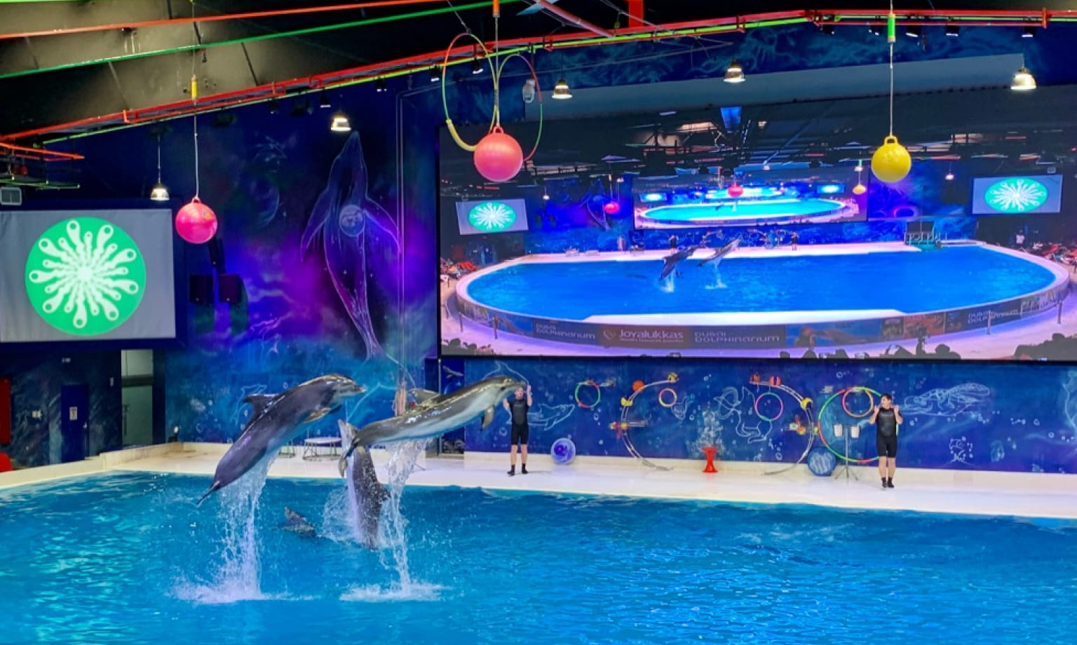 Dubai Dolphinarium cover